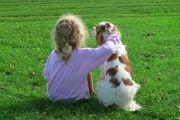 Chien et enfant Education canine 78