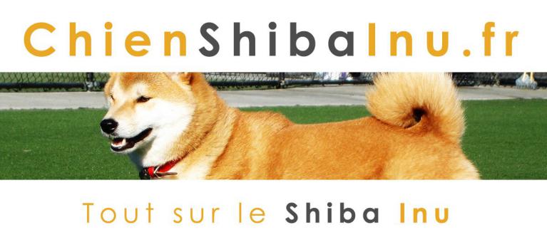 Lien ChienShibaInu