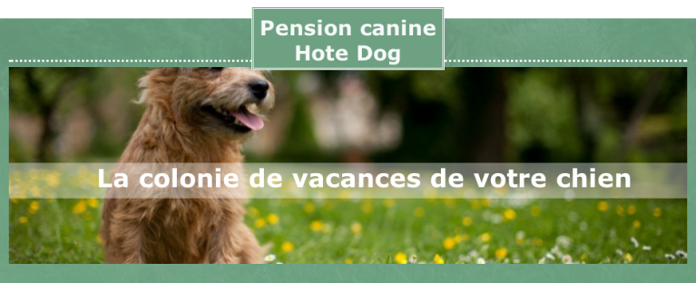 Lien Pension canine Hote Dog