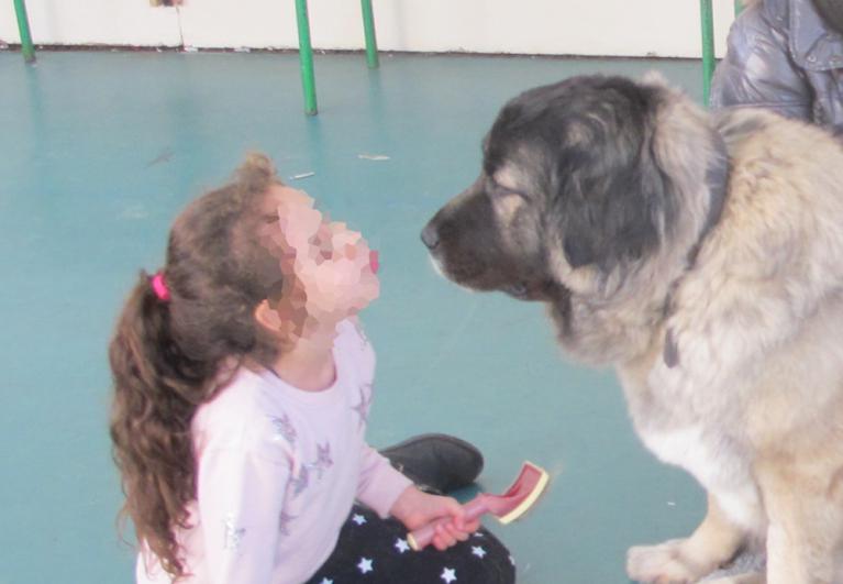 Médiation chien-enfant, j'ai confiance