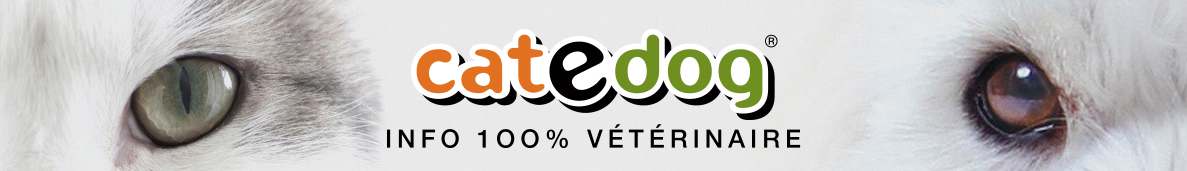 Catedog, info 100% vétérinaire