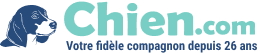 annonce regarddechien sur chien.com