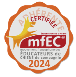 MFEC 2024