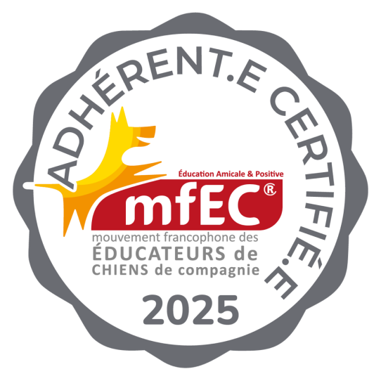 MFEC 2025