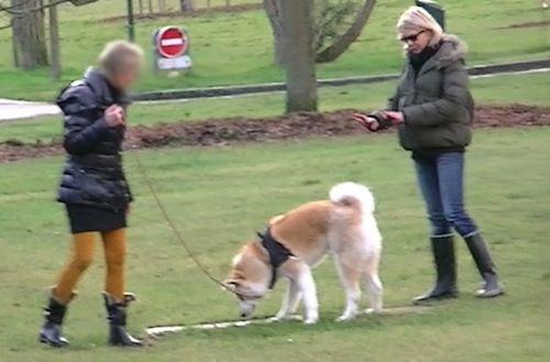 Education canine - Travail avec chien "réactif"