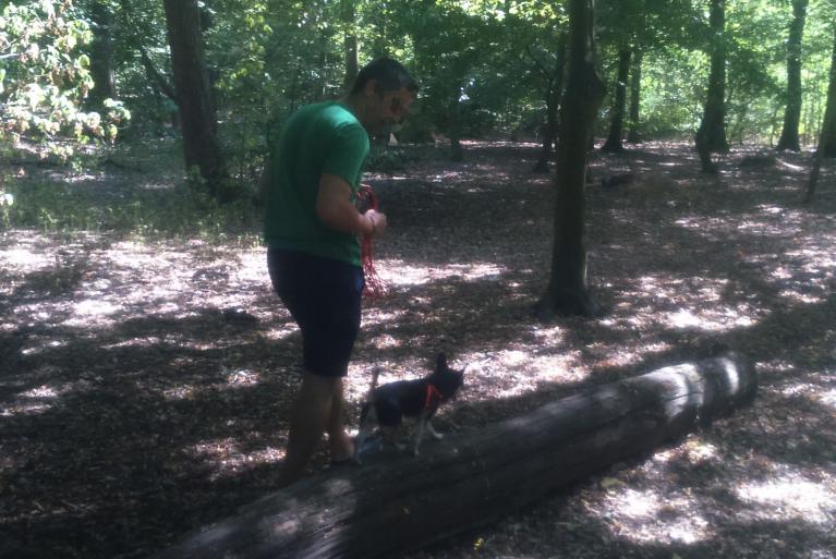 Initier la confiance avec son chien