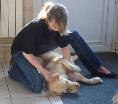 Chien et contacts apaisants Montesson