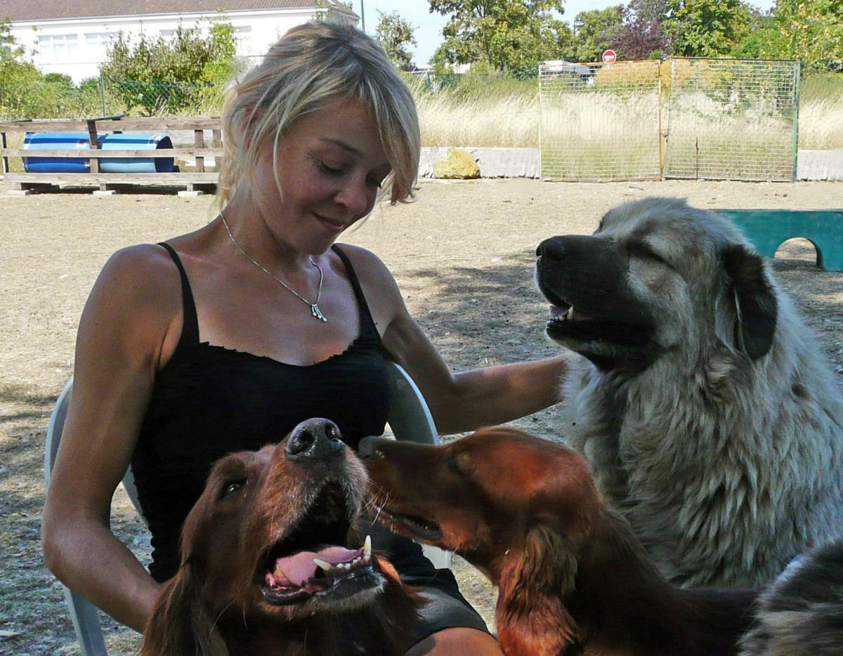 Education canine Le Vésinet 78