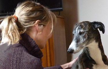 Observer son chien