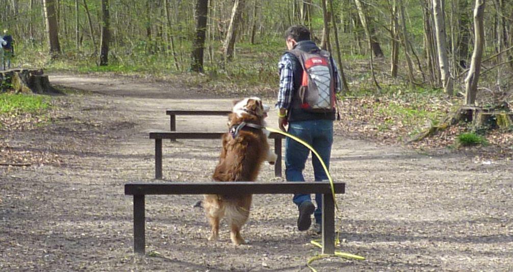 Agility en environnement naturel