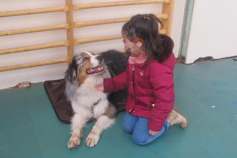 Médiation chien-enfant, on se comprend