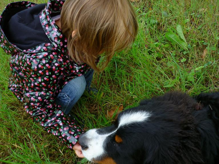 Relation enfant-chien, échanges