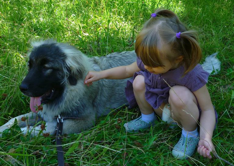 Relation enfant-chien, facteur de résilience