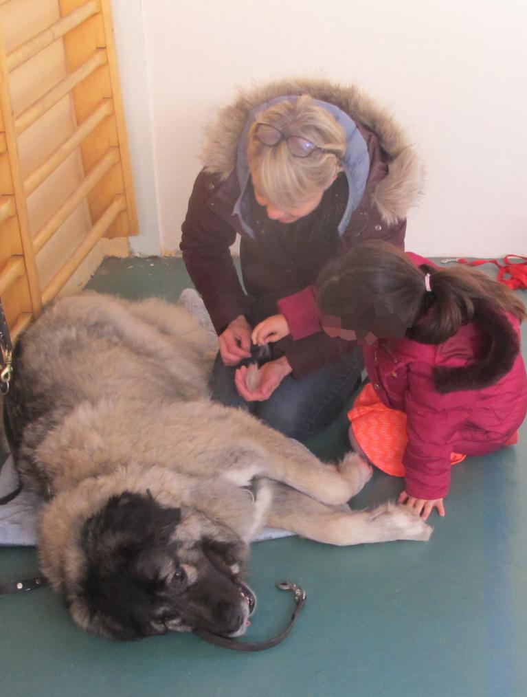Médiation chien-enfant, je garde un souvenir