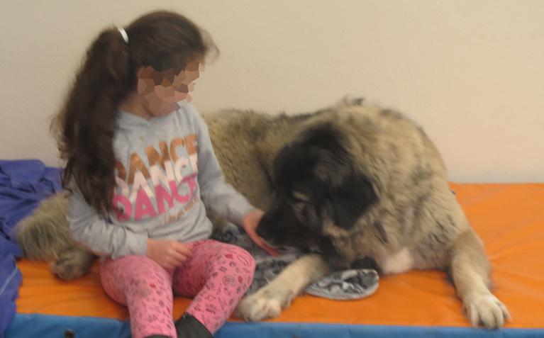 Médiation chien-enfant, rencontre