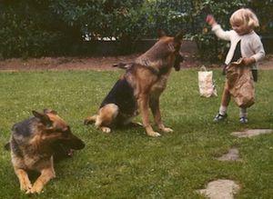 Comportementaliste Enfant et chien