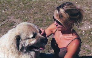 Comprendre son chien