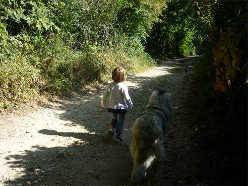 Enfant et chien Education Yvelines