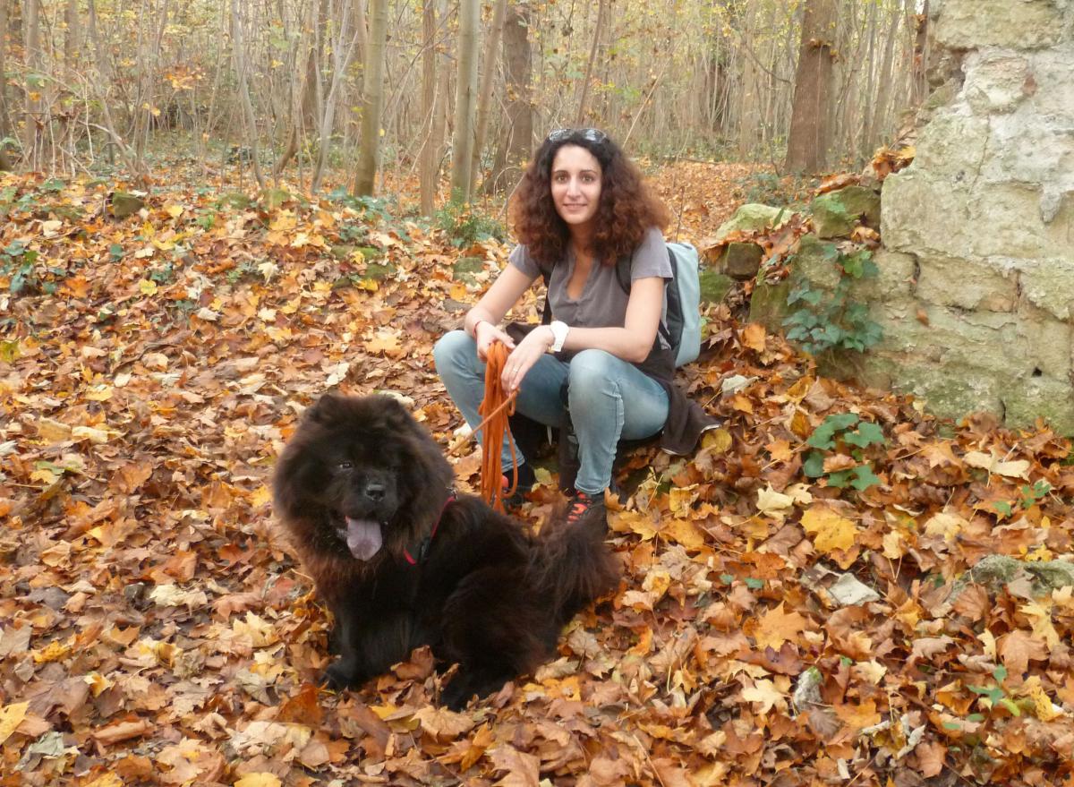 Randonnée canine 78
