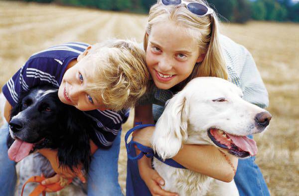 Education enfant et chien Yvelines