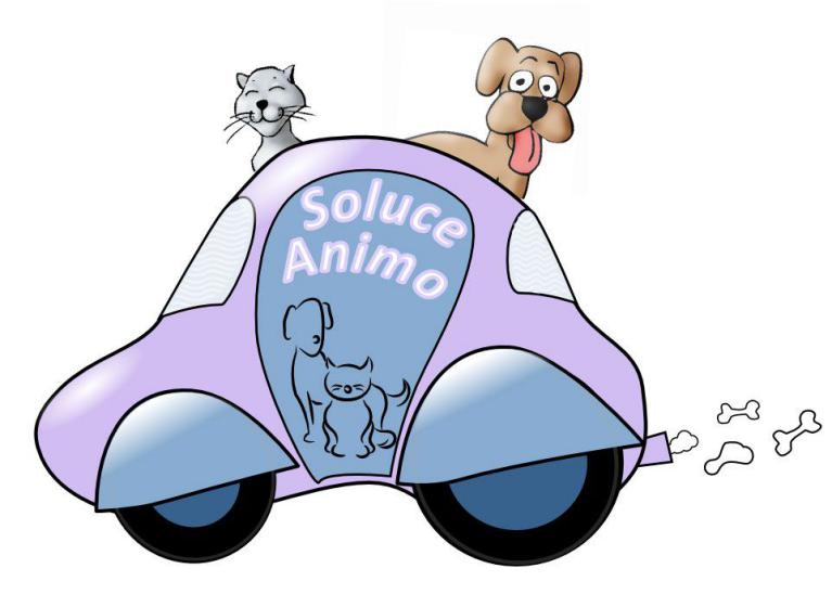 Lien Soluce Animo