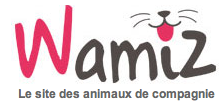 Regard de chien sur Wamiz