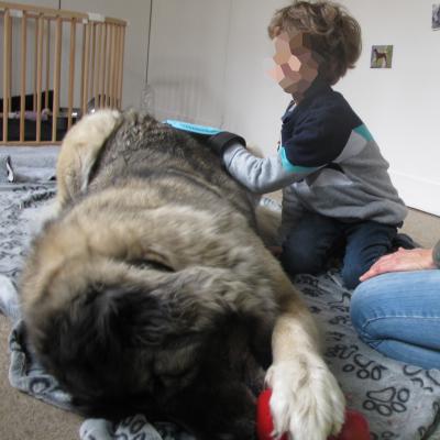 Regard de chien au NEURO-GROUPE